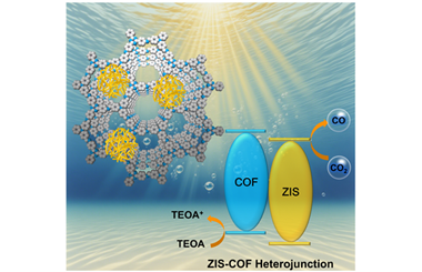 Rational design of ZnIn2S4-COF heterojunction to inhibit photogenerated carrier dynamics for enhanced photocatalytic CO2 reduction 025.100762